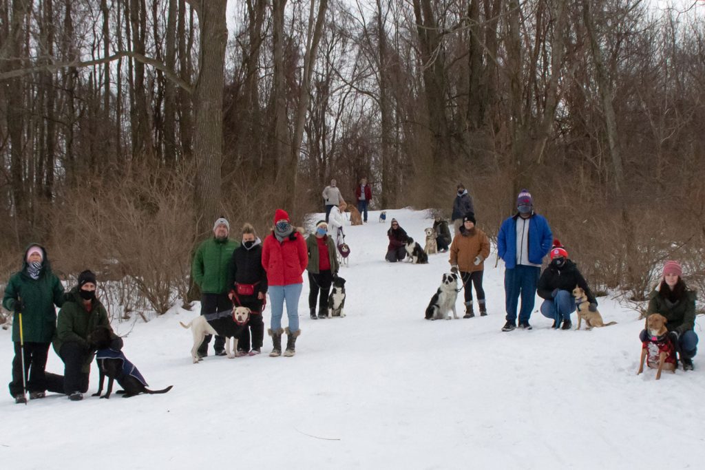 winter social dog walk positive reinforcement erie, pa