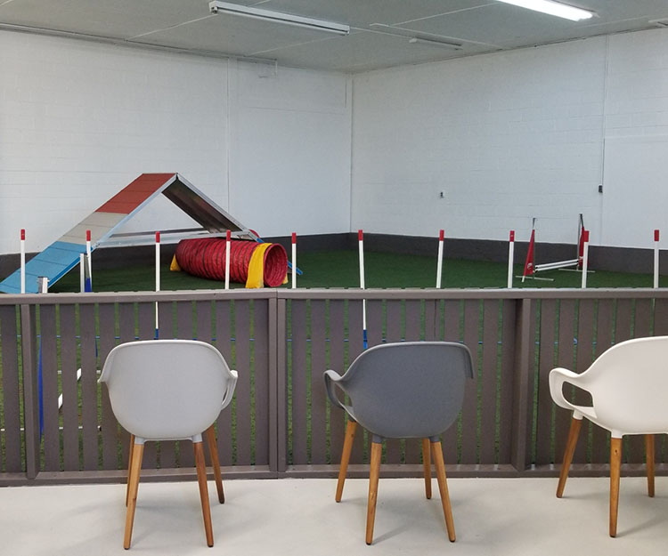 inside of doghouse with dog agility training equipment
