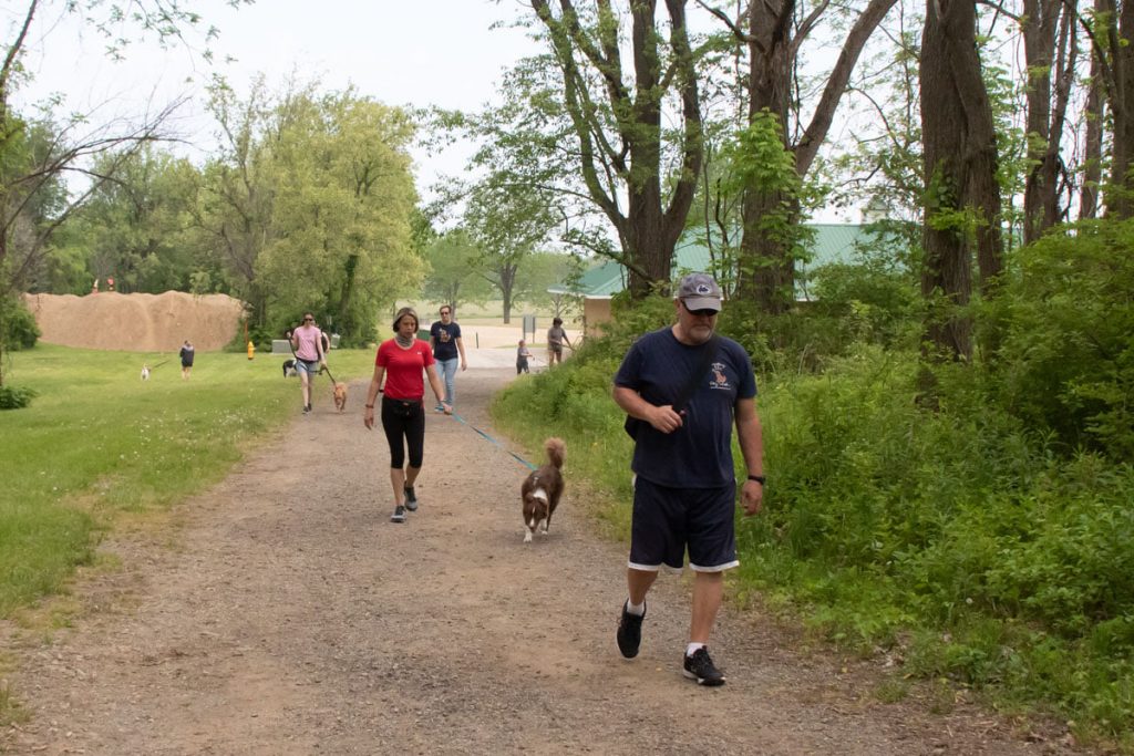 dog walk for dog obedience and dog socialization in erie pa