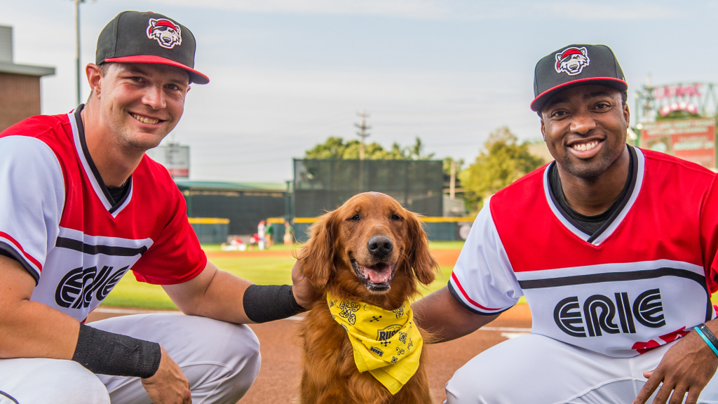 seawolves bark at the park dog event