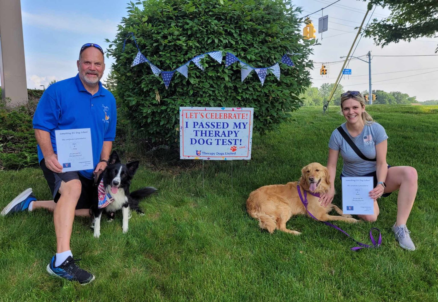  Something Els Dog School, LLC